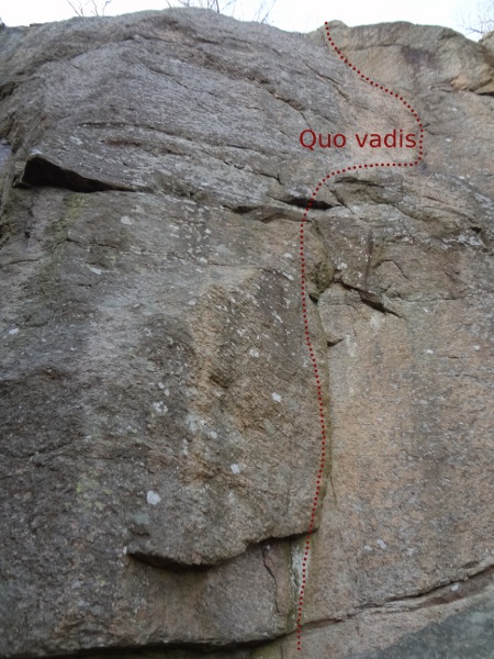 Quo vadis fjallb.jpg