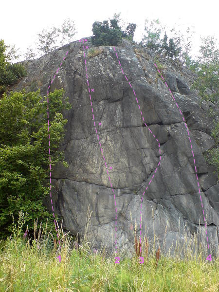 Sdt copy.jpg