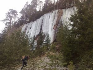 Finnskogen.jpg