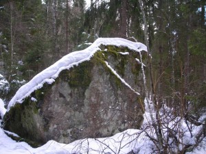 SulvikBeavercreek_kalhyggesidan