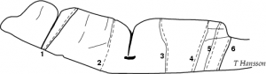 Tumbaklippan v